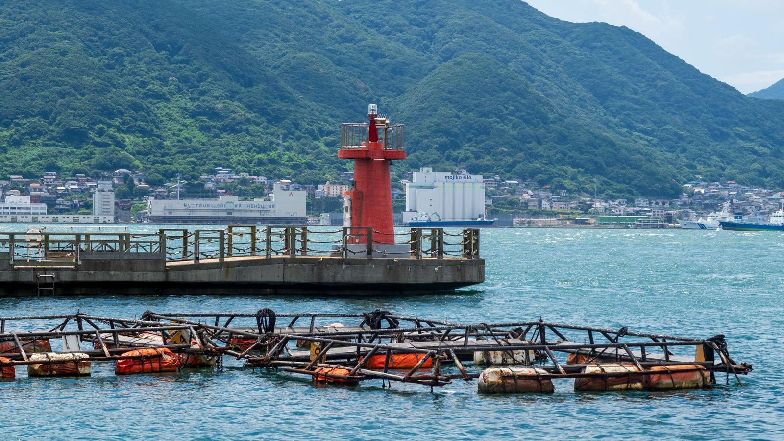 朝日を受ける小浦港の岸壁と係留された船